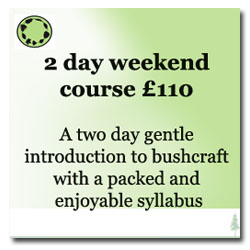 2 day bushcraft course